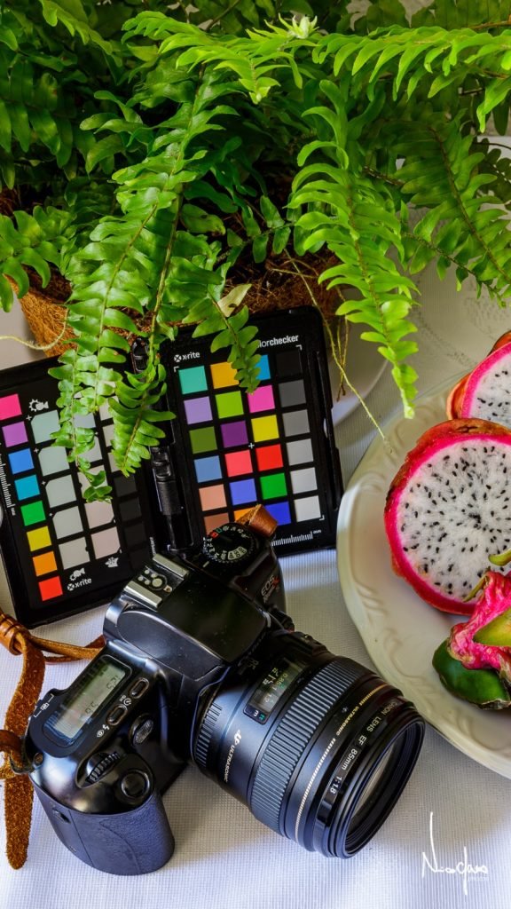 Natureza-morta de estúdio com uma câmera DSLR Canon e lente 85 mm em primeiro plano, dois cartões X-Rite ColorChecker abertos atrás da câmera, folhagem verde de samambaia preenchendo o topo da cena e meio fruto de pitaya branca fatiado sobre prato de porcelana à direita, tudo iluminado por luz natural suave sobre toalha branca; assinatura ‘Nico Chaves’ no canto inferior direito.”